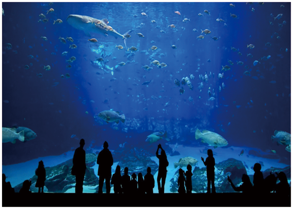 1622010090636710.png 19-冠固達(dá)品牌-硅酮膠(G688硬-3).png