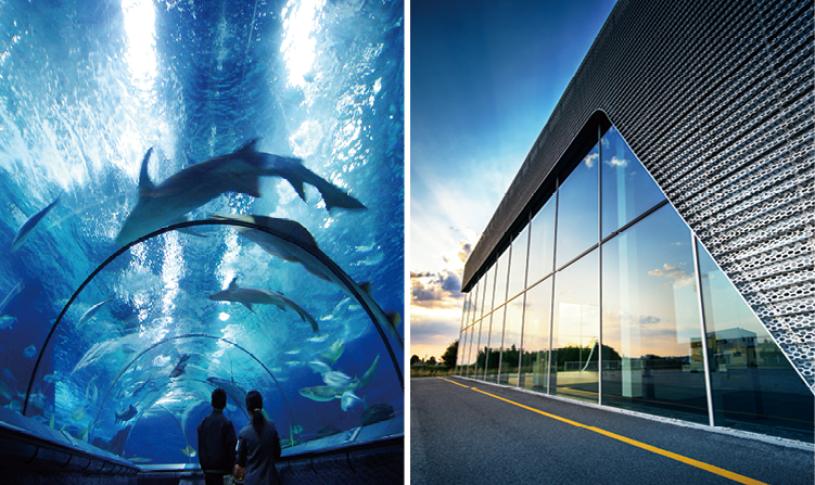 1622016712883135.png 06-魚鷹品牌-硅酮膠(Y888硬-3).png